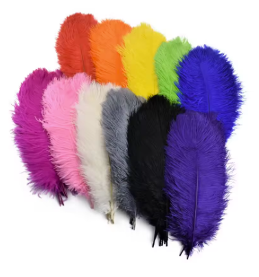 Ostrich Plume - 30-40cm (3pc)