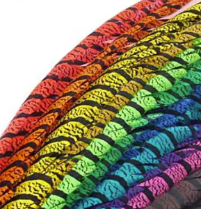 Lady Amhurst Feather - 70-100cm