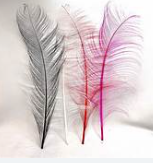 Burnt Ostrich Feather - 40 - 50cm